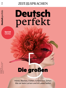 Rich Results on Google's SERP when searching for 'Deutsch Perfekt Die 5 Groben'